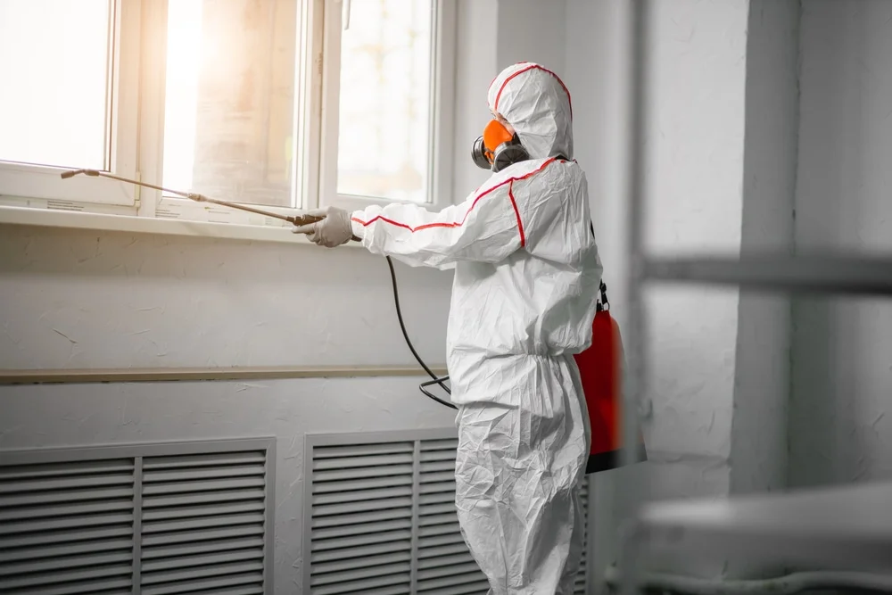 Professional mold remediation services in Webster, MN